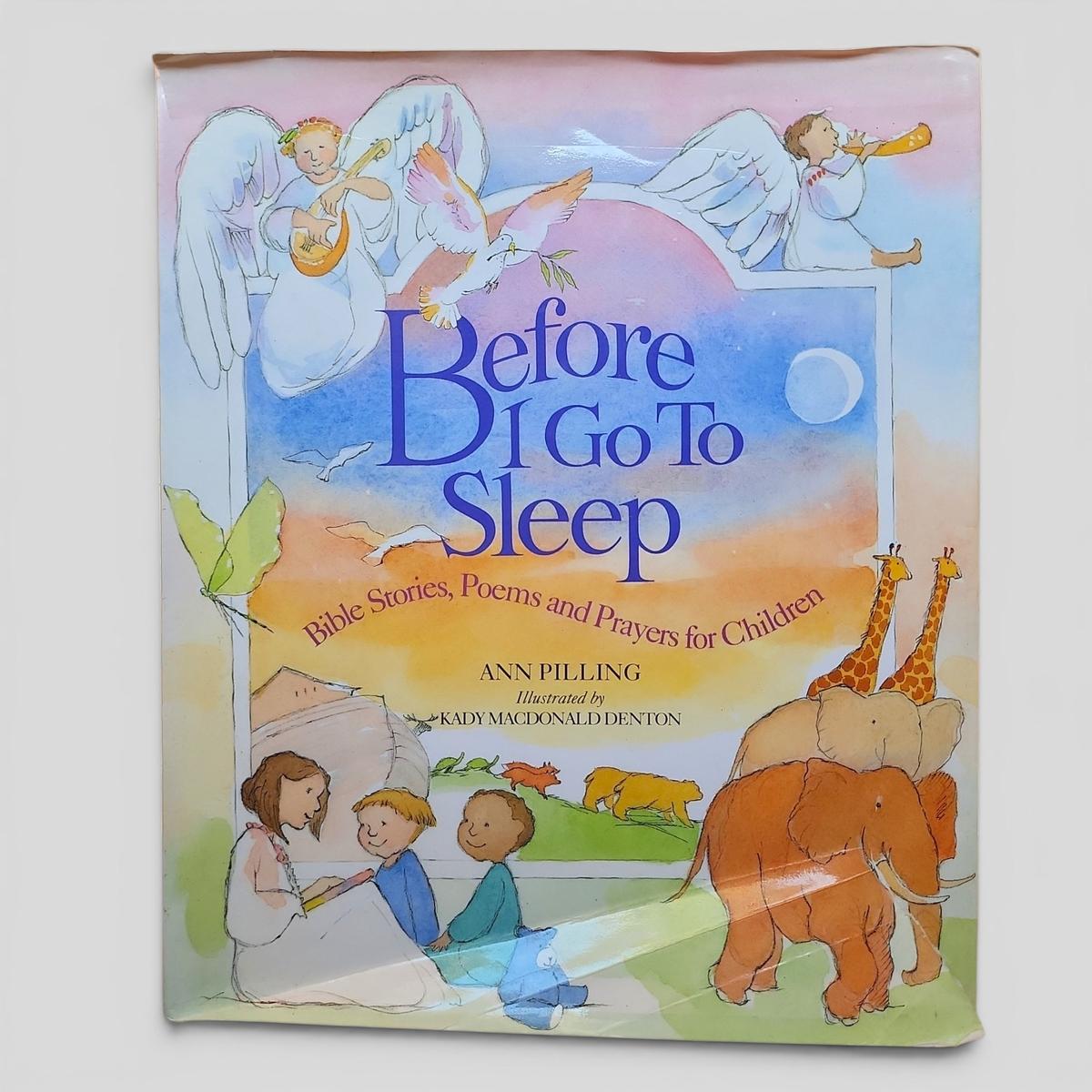 Before I Go To Sleep by Ann Pilling - book cover