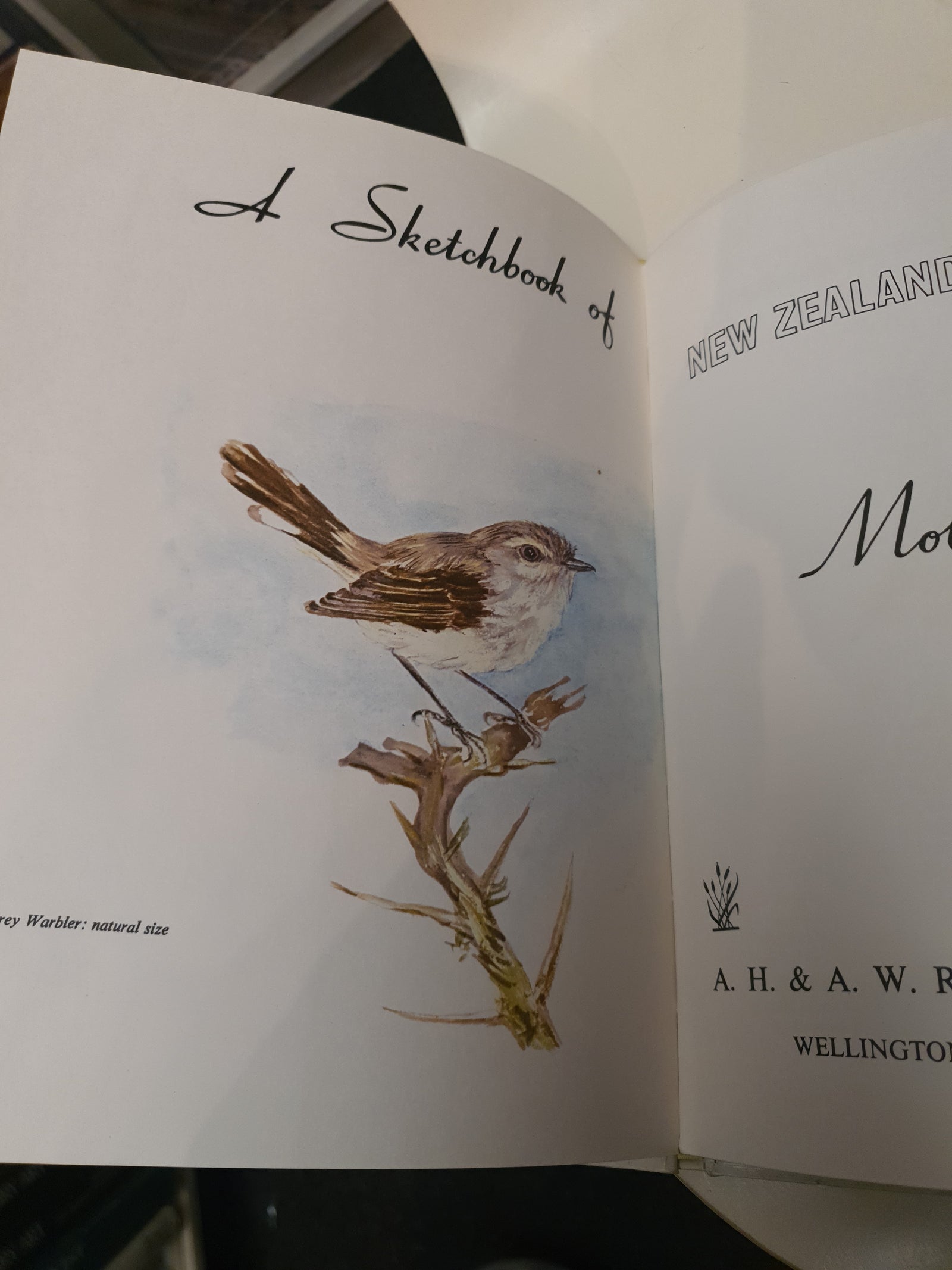 A Sketchbook of New Zealand Birds by Molly Falla