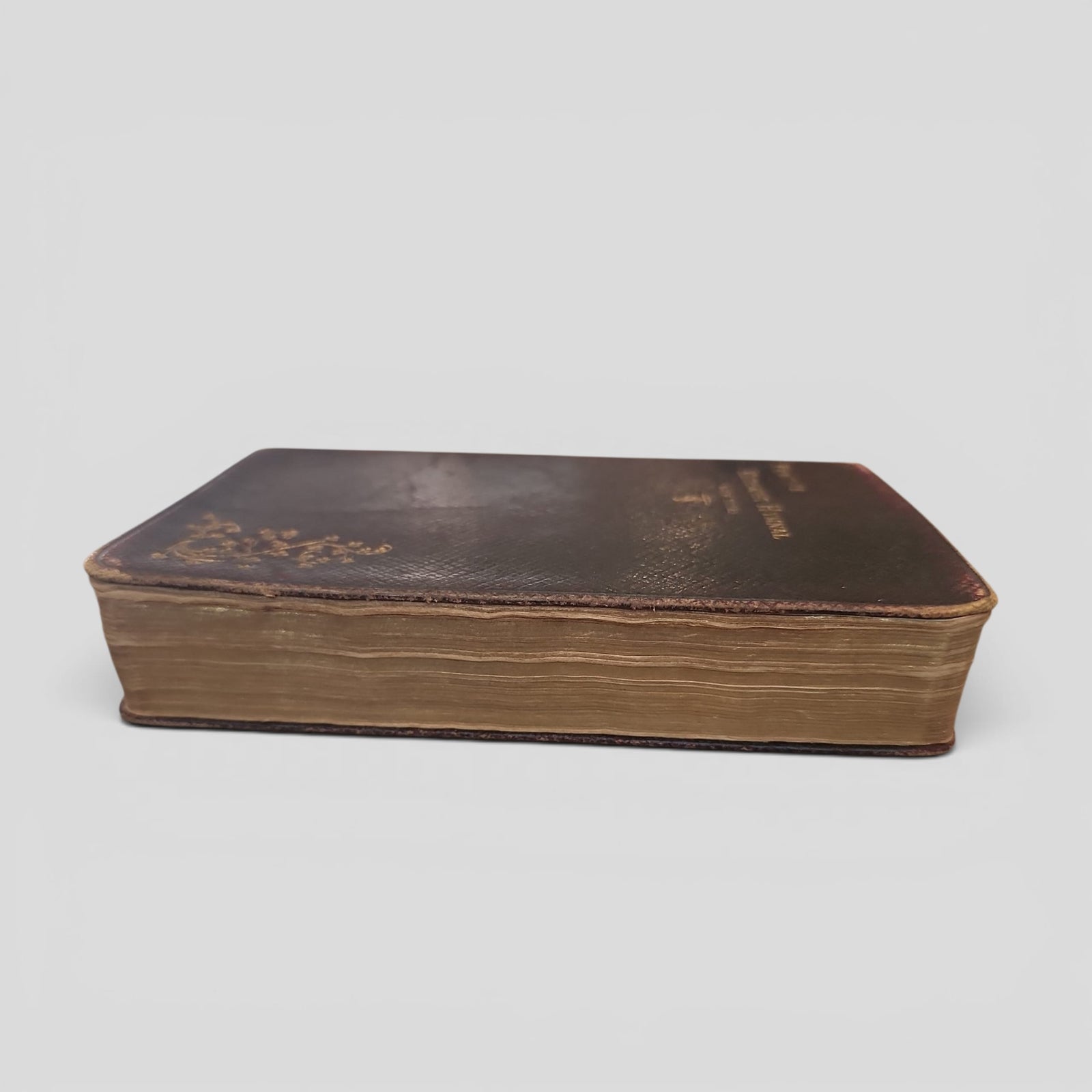 Vintage 1902 Leatherbound Primitive Methodist Hymnal with Accompanying Tunes