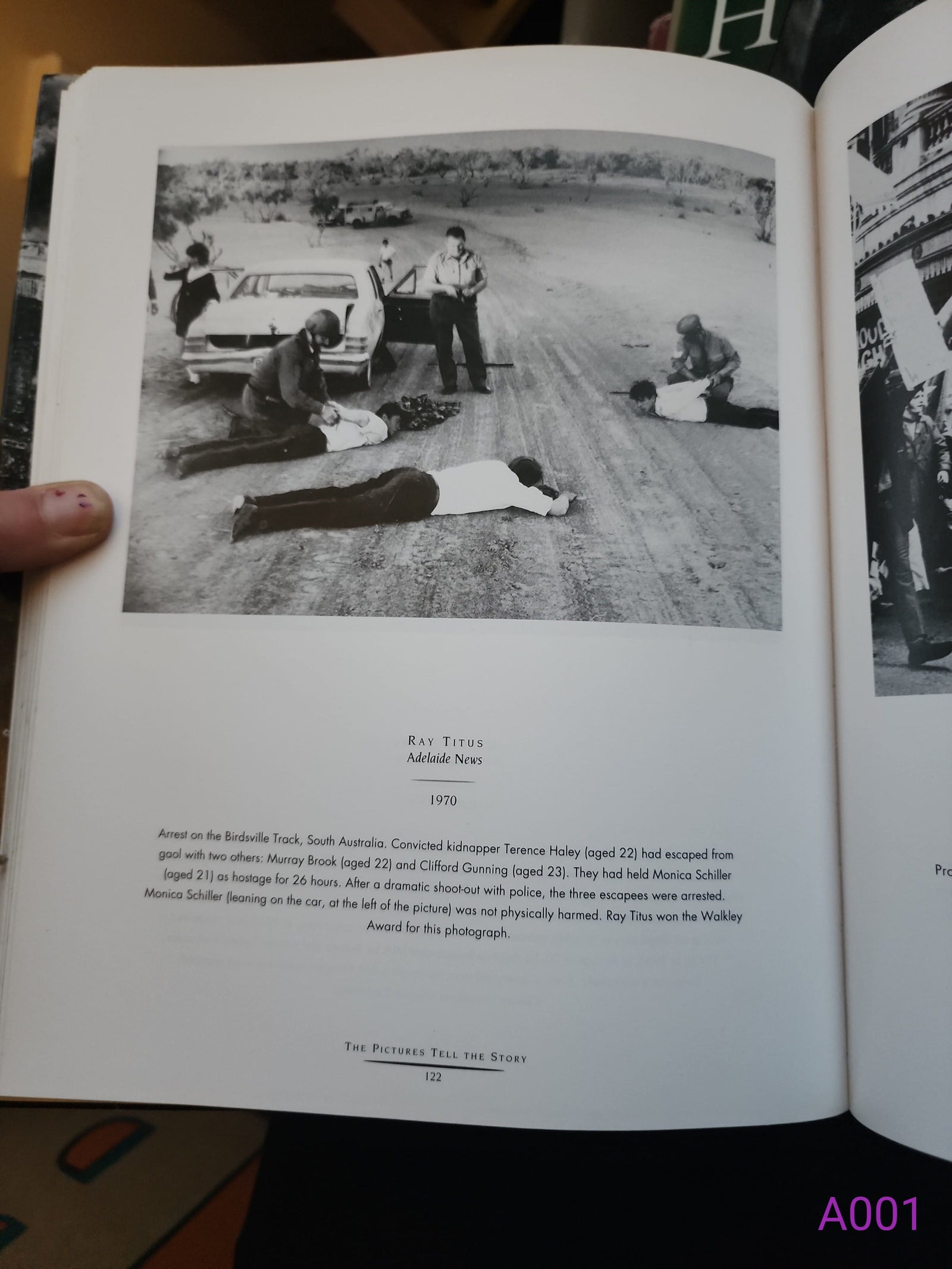 The Pictures Tell the Story by Winton Irving