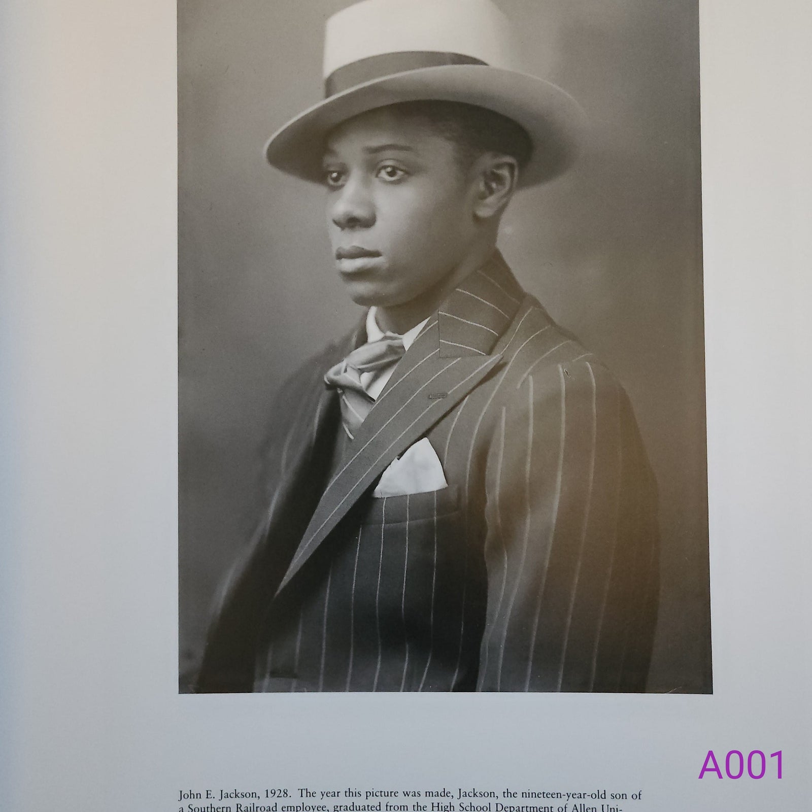 A True Likeness: The Black South of Richard Samuel Roberts: 1920-1936 by Richard Samuel Roberts