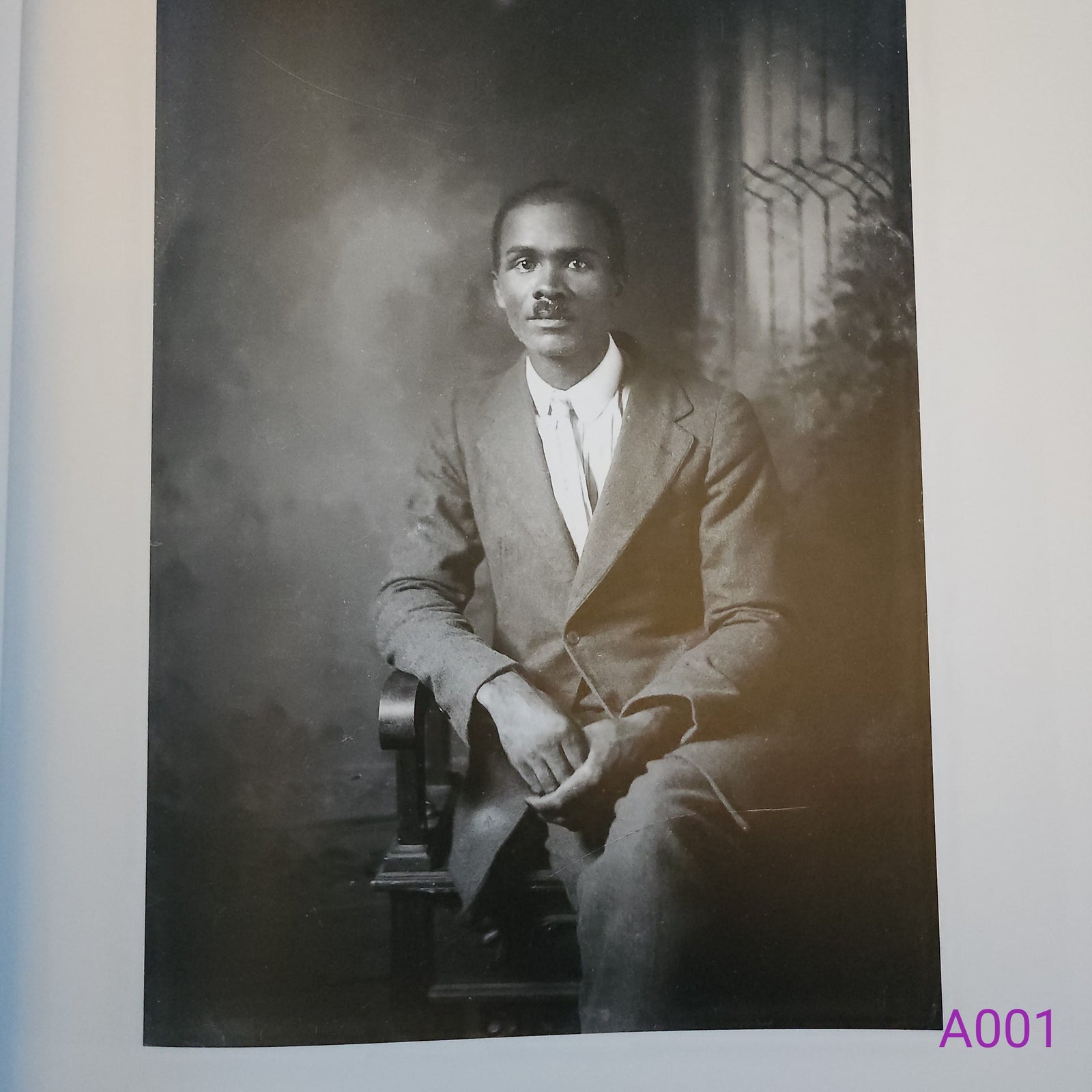 A True Likeness: The Black South of Richard Samuel Roberts: 1920-1936 by Richard Samuel Roberts