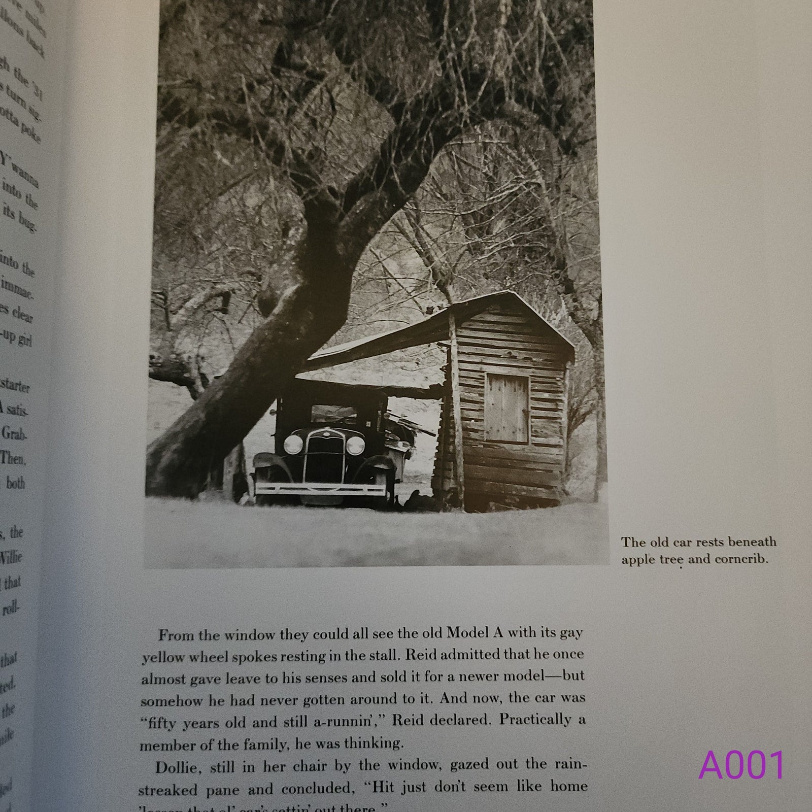 Runnin' on Rims: Appalachian Profiles by Jock Lauterer
