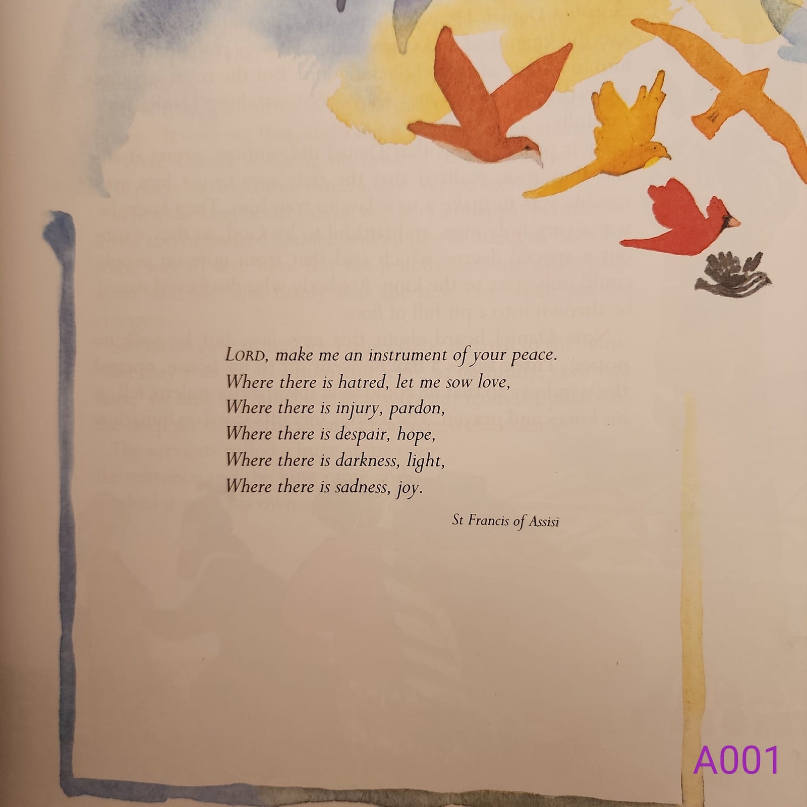 Before I Go To Sleep by Ann Pilling