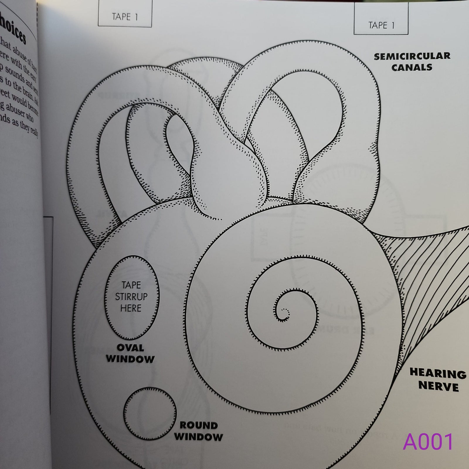 The Body Book: Easy-To-Make Hands-On Models That Teach by Donald M. Silver and Patricia J. Wynne