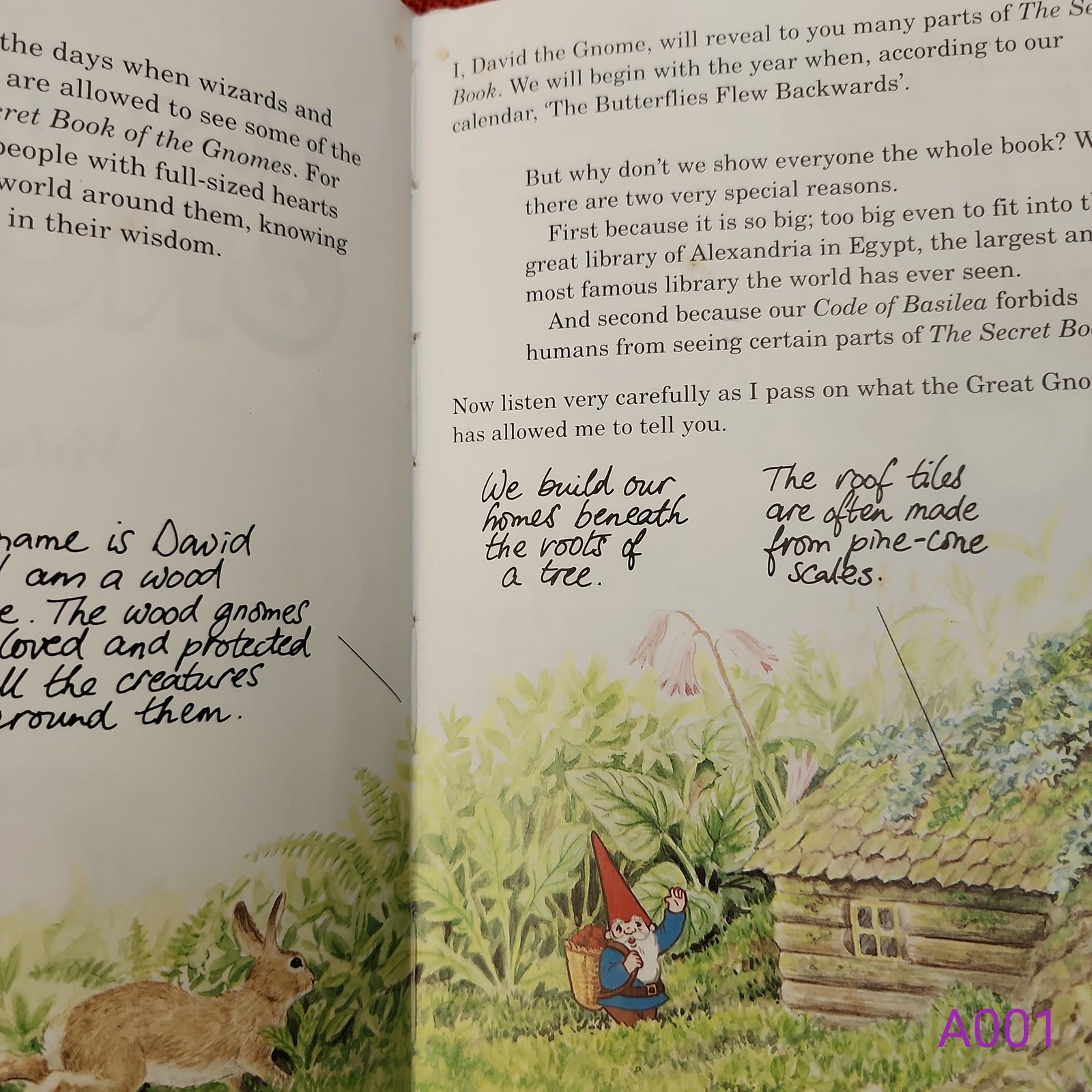 The Secret Book of the Gnomes Volume 1