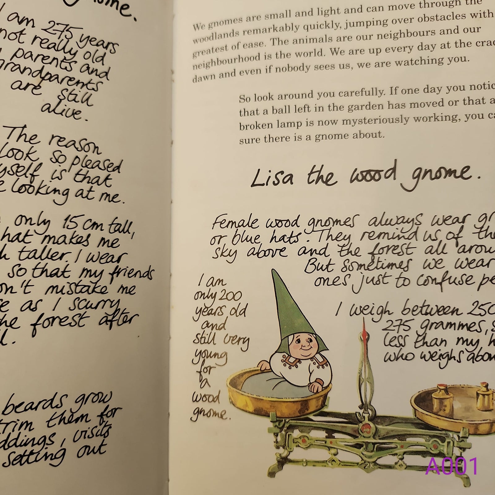 The Secret Book of the Gnomes Volume 1