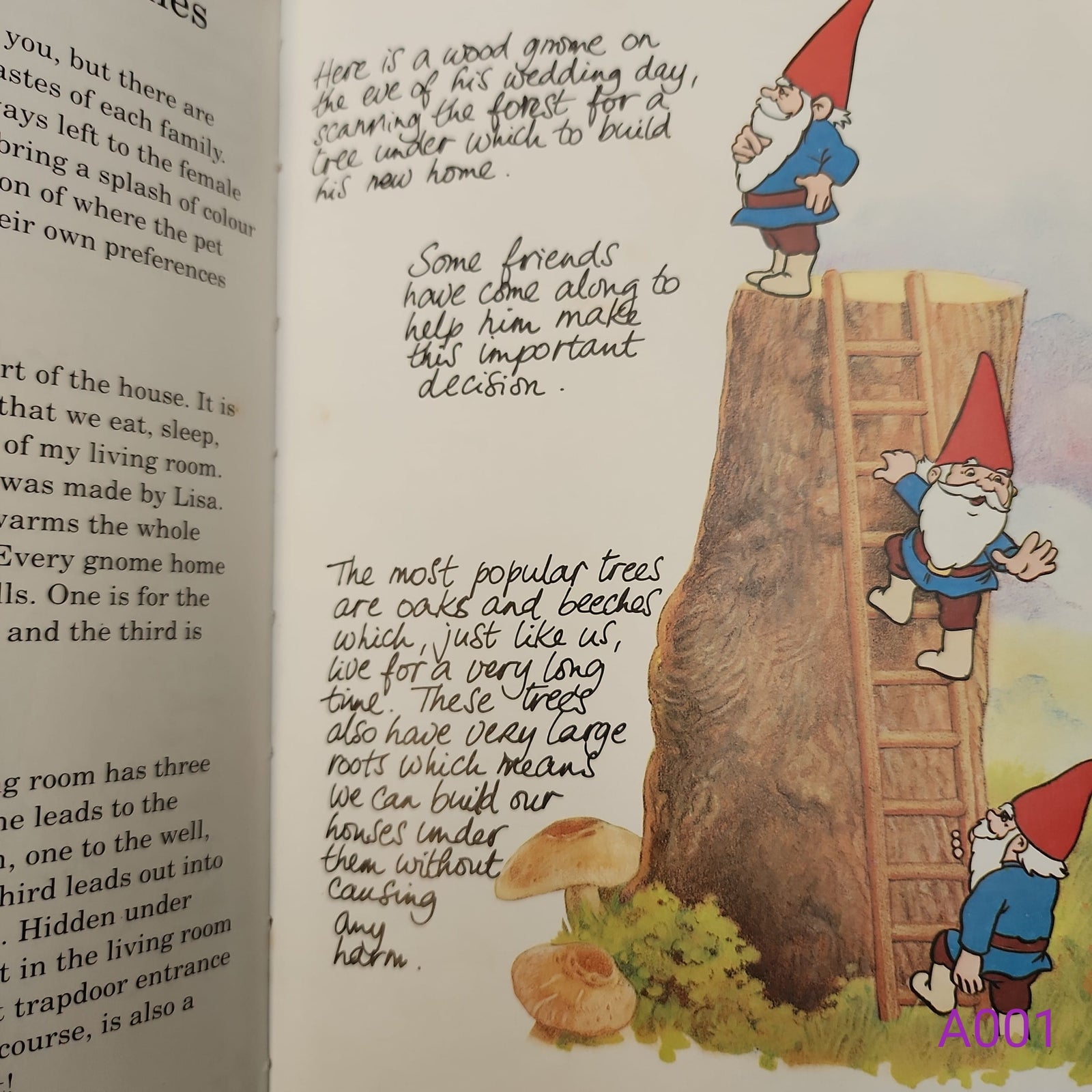 The Secret Book of the Gnomes Volume 1