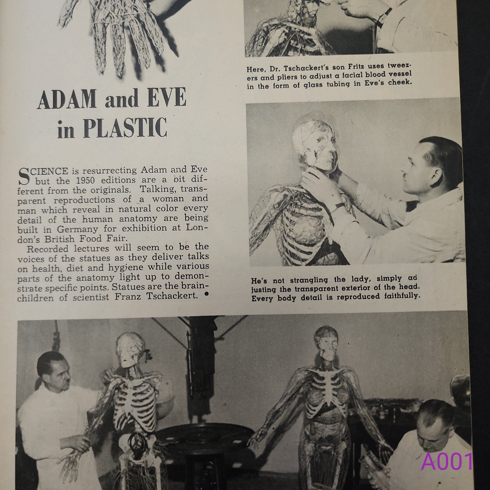 Mechanix Illustrated English Edition Vol. 1 No. 3 1950