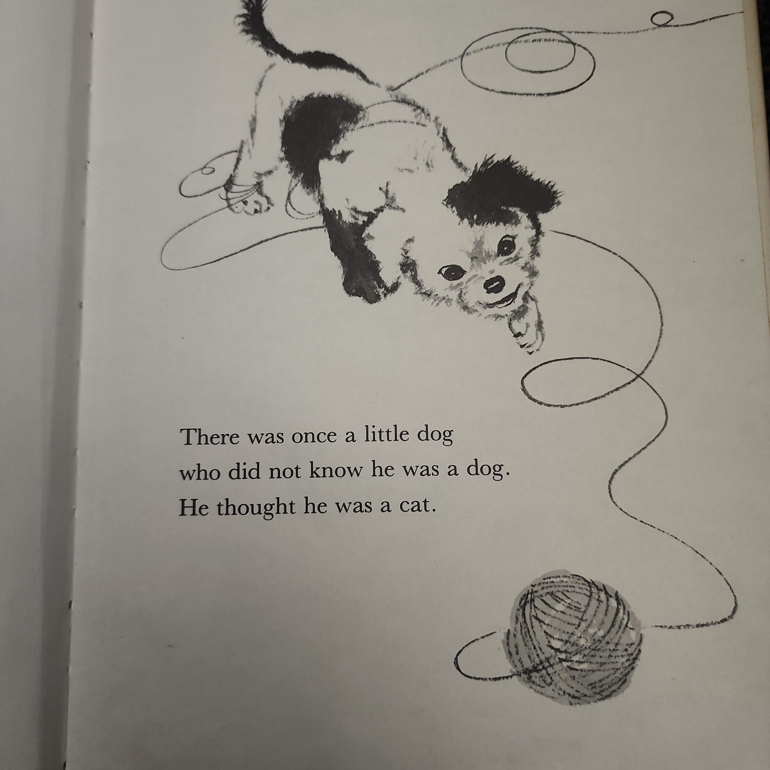 A Little Dog Called Kitty interior illustration