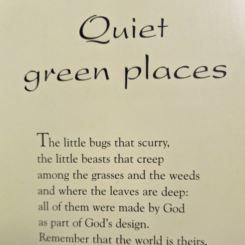 An Arkful of Animal Prayers by Sophie Piper, Tina Macnaughton - Books Worth Keeping