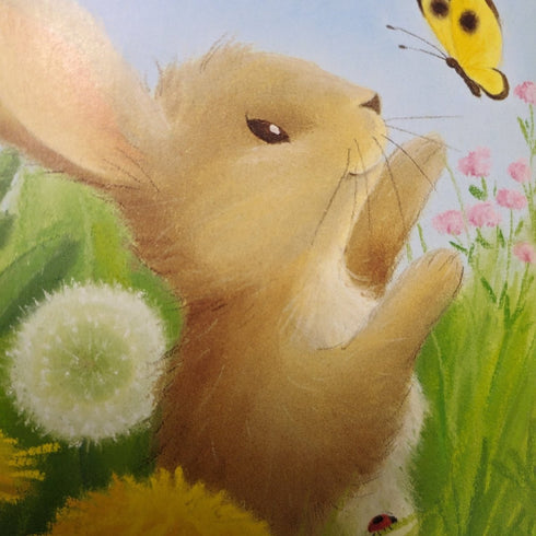 An Arkful of Animal Prayers by Sophie Piper, Tina Macnaughton - Books Worth Keeping