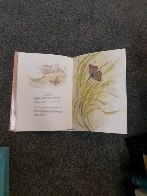 Catherine Hamilton's Butterflies of New Zealand by Catherine Hamilton - Books Worth Keeping