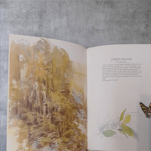 Catherine Hamilton's Butterflies of New Zealand by Catherine Hamilton - Books Worth Keeping