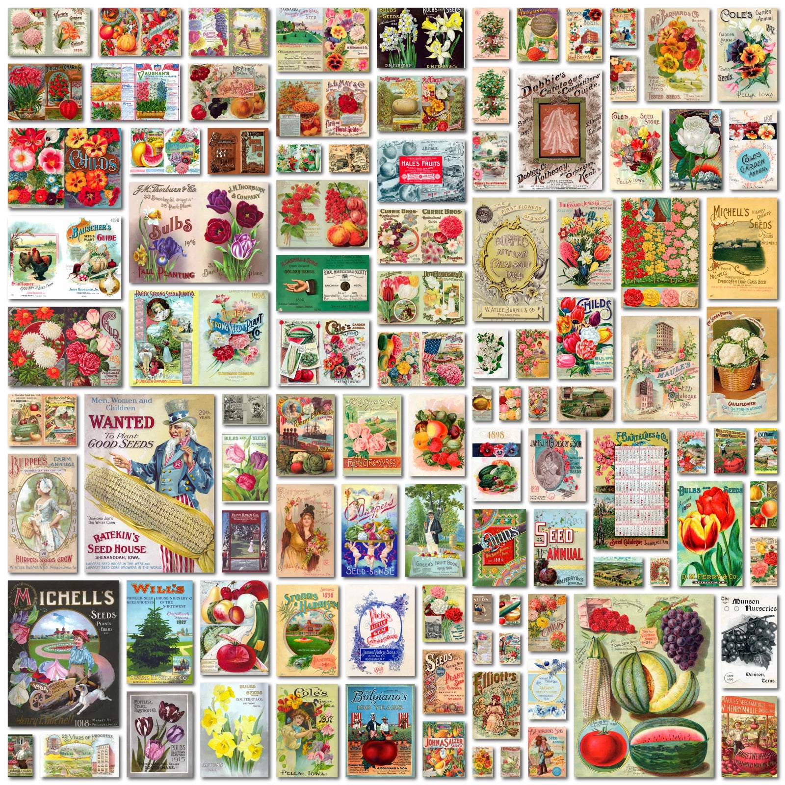 Vintage Seed Catalog poster collection digital download. 100 images, high resolution.