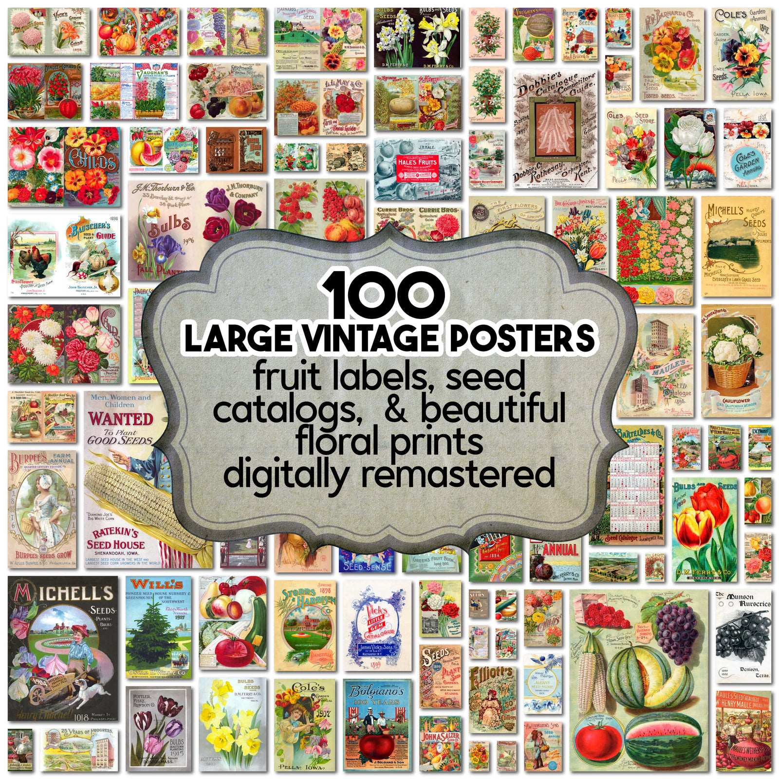 Vintage Seed Catalog poster collection digital download. 100 images, high resolution.