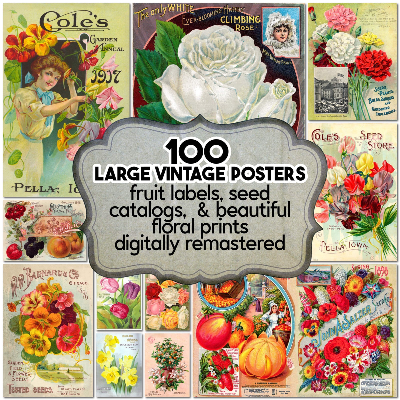 Vintage Seed Catalog poster collection digital download. 100 images, high resolution.