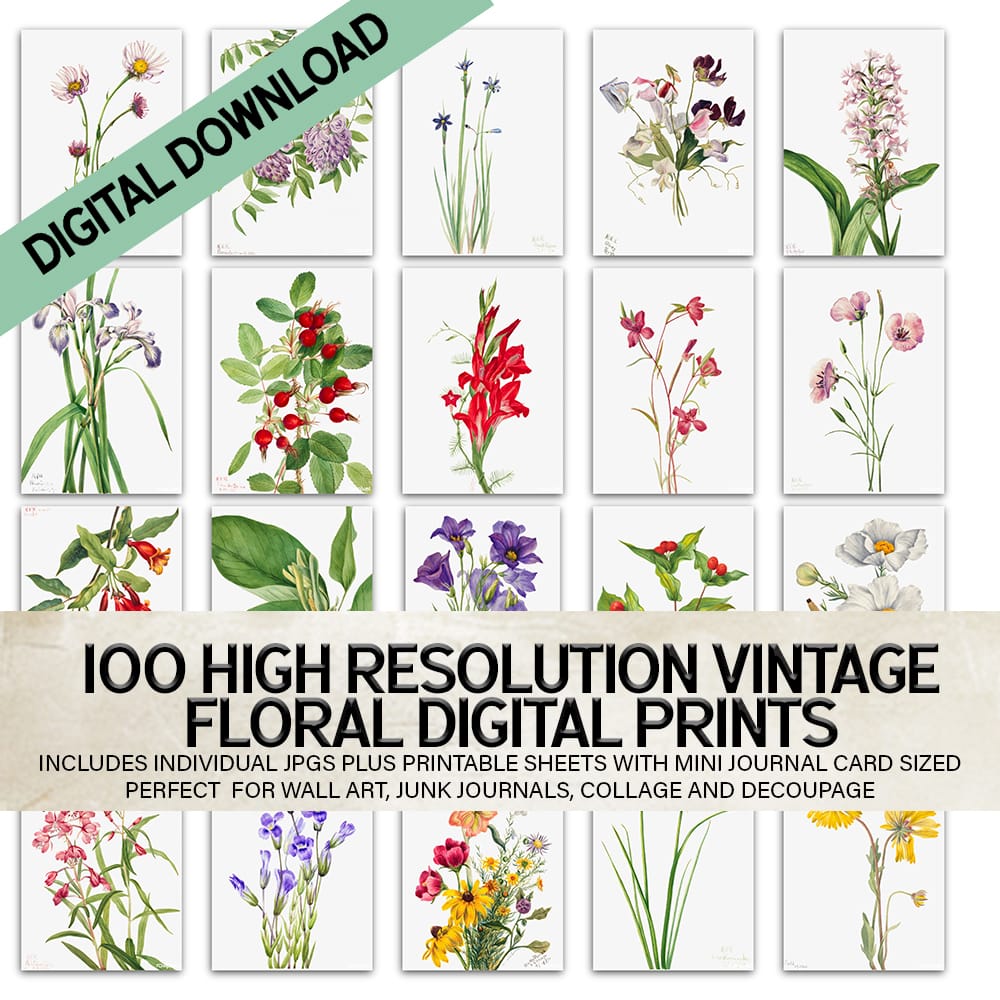 100 Vintage Botanical Floral Prints – Digital Download