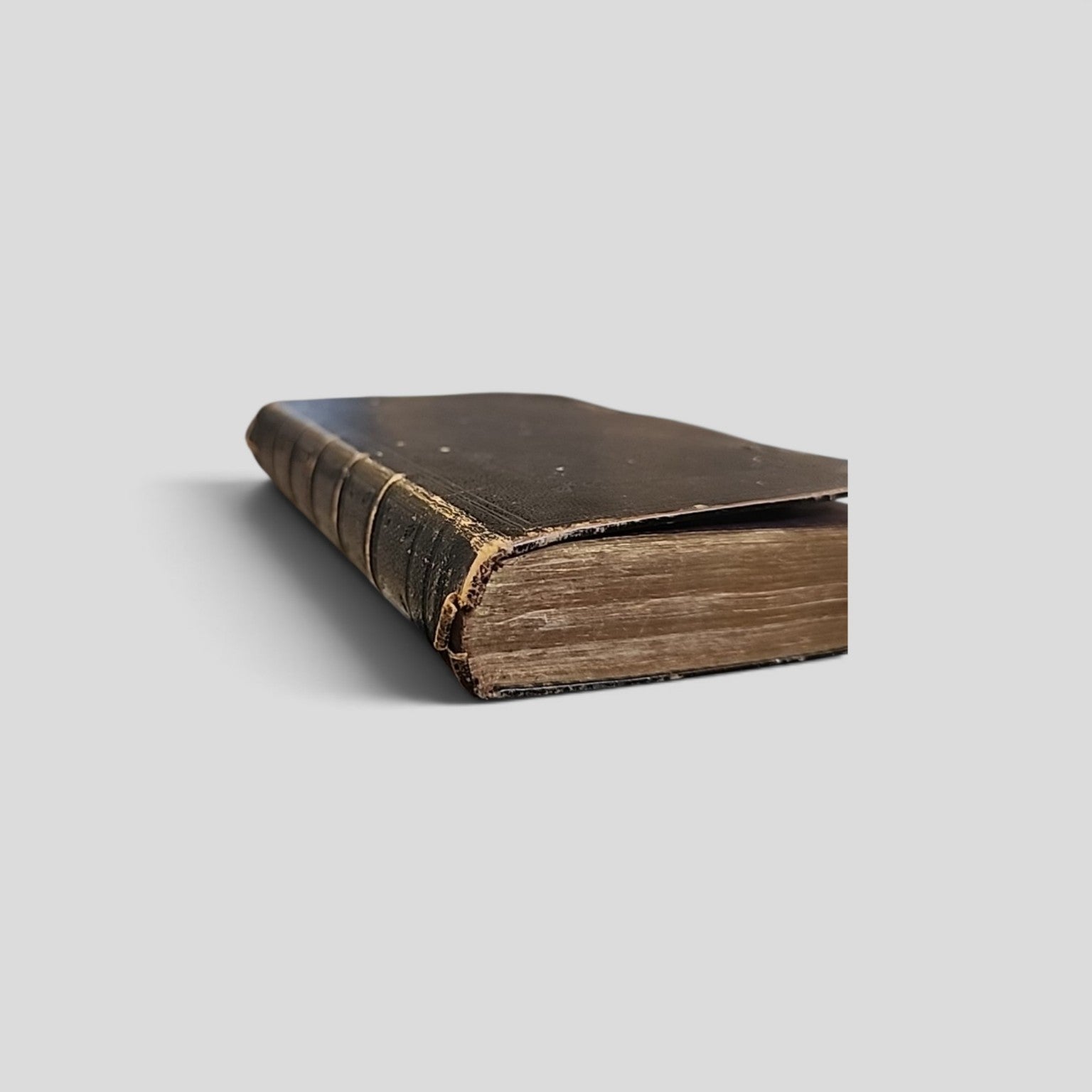 Antique English Version of the Polyglott Bible showing tooled leather spine and gilt page edges