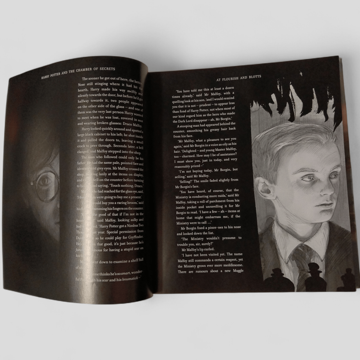 Harry Potter and the Chamber of Secrets by J.K. Rowling - Books Worth Keeping