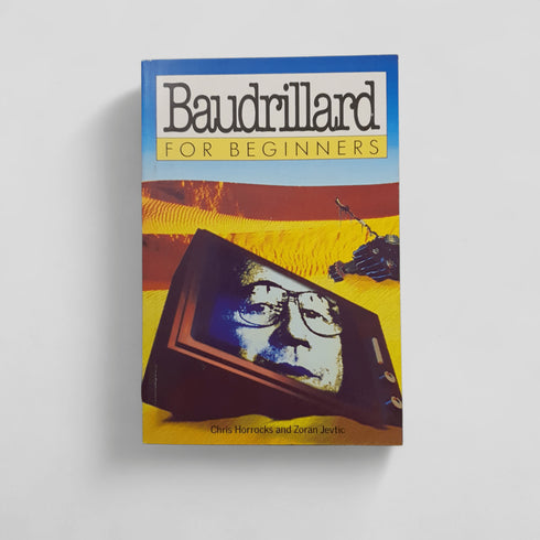Introducing Baudrillard by Chris Horrocks - Books Worth Keeping
