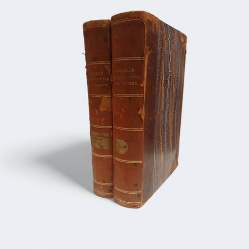 Ireland Under the Tudors by Richard Bagwell – 2 Volume Set (1870s) - Books Worth Keeping