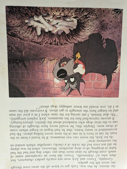 Lady and the Tramp: A Disney Film Classic - Books Worth Keeping