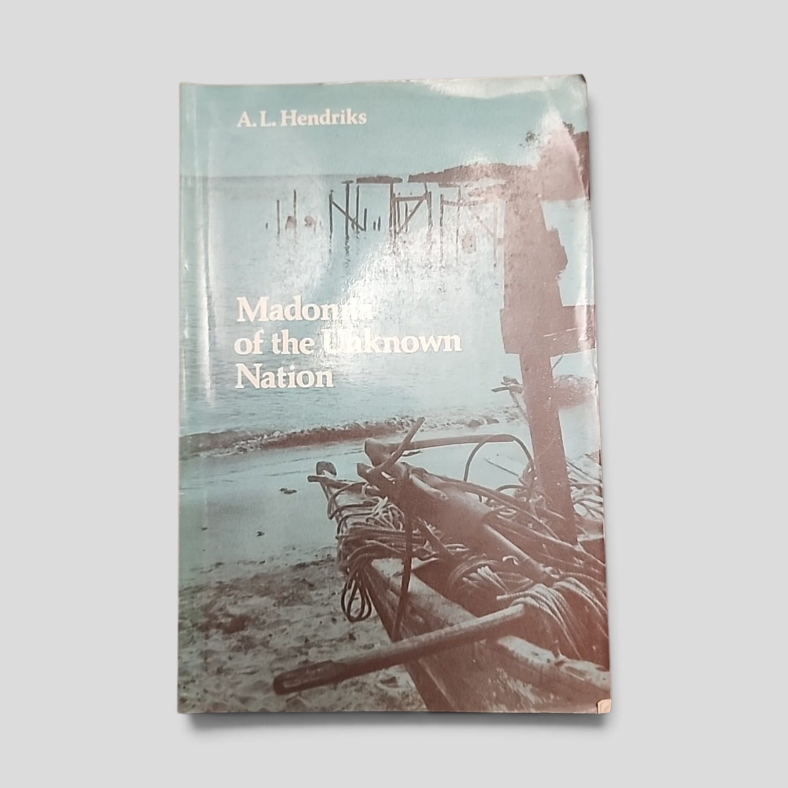 Madonna of the Unknown Nation by A. L. Hendriks paperback front cover