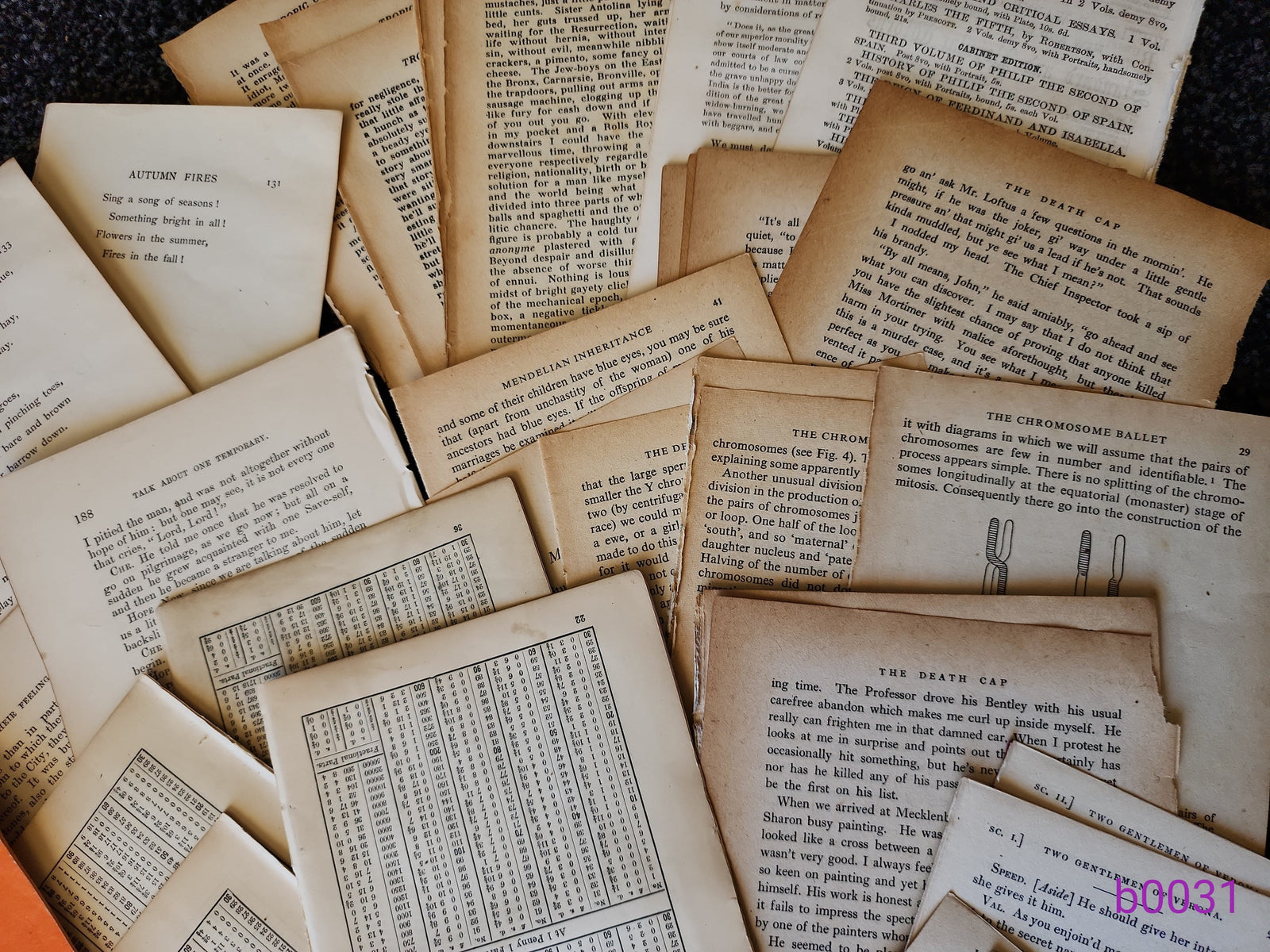 100 Old Book Pages & Vintage Sheet Music - For Junk Journals, Scrapbooking, Collage & Paper Craft