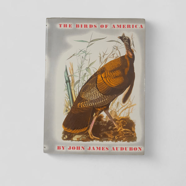 The Birds of America by John James Audubon - Books Worth Keeping