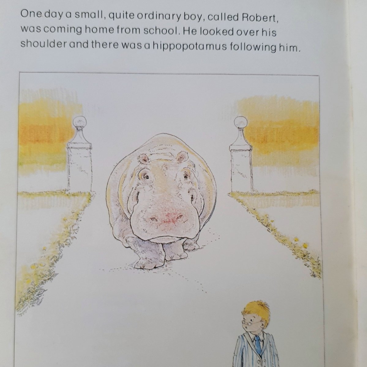 The Boy Who Was Followed Home by Margaret Mahy; pictures by Steven Kellogg - Books Worth Keeping