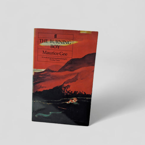 The Burning Boy by Maurice Gee - Books Worth Keeping