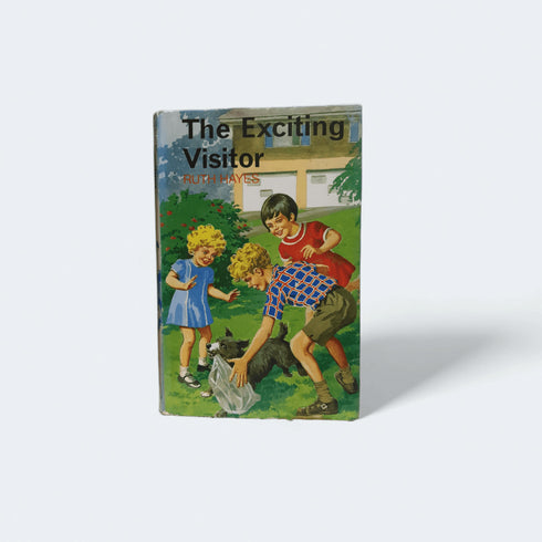 The Exciting Visitor – Ruth Hayes - Books Worth Keeping