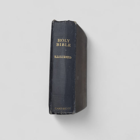 Vintage Holy Bible Illustrated (Cambridge Edition) - Books Worth Keeping
