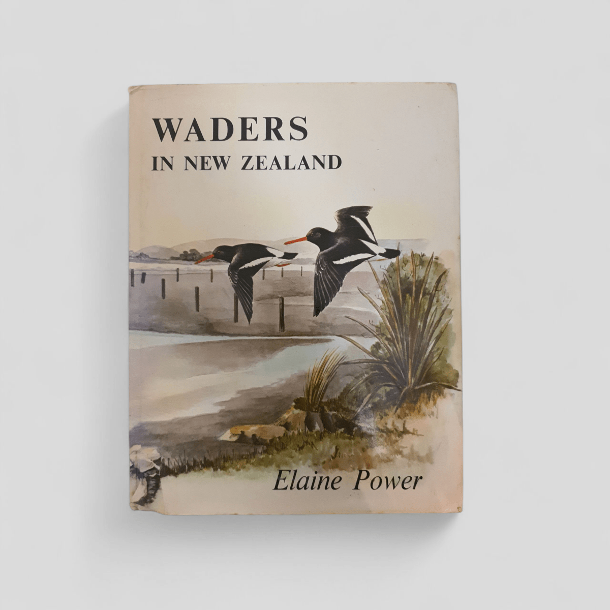 Waders in New Zealand by Elaine Power - Books Worth Keeping