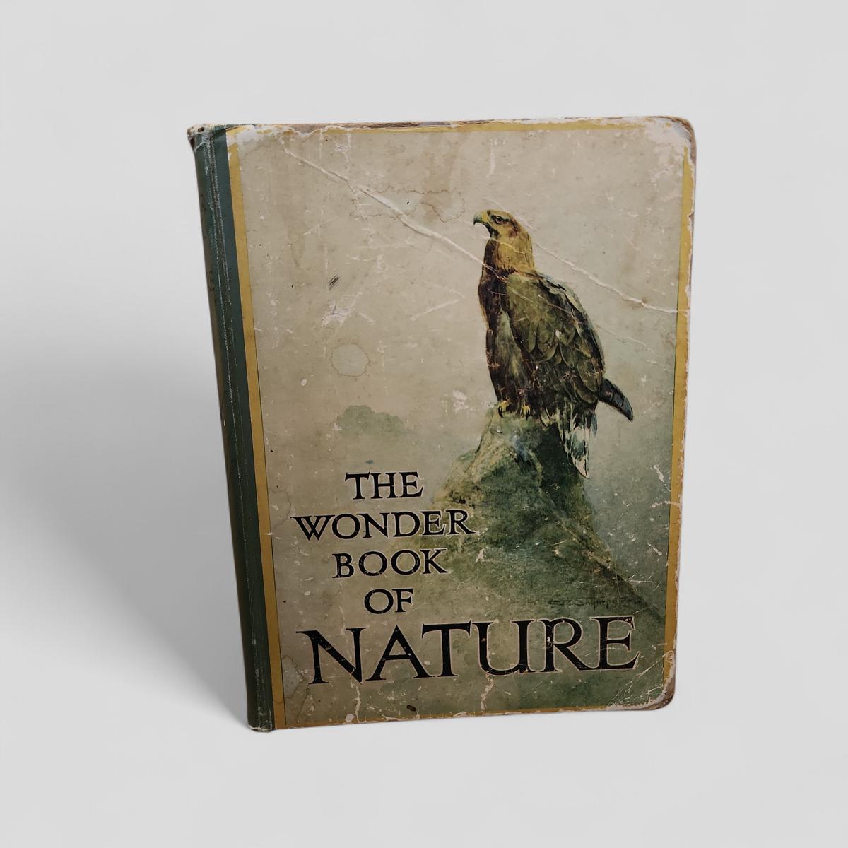 The Wonder Book of Nature for Boys and Girls by Harry Golding - book cover