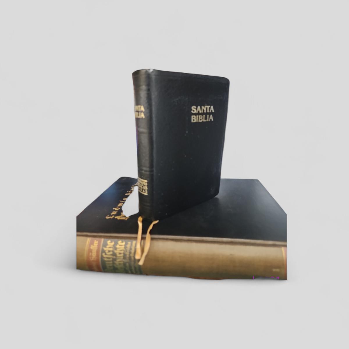 Santa Biblia - book cover