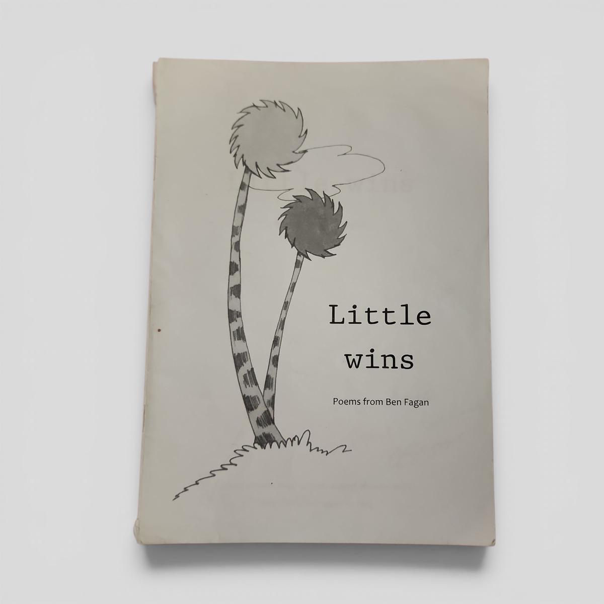 Little wins by Ben Fagan - book cover