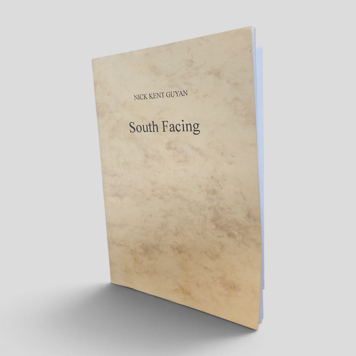 South Facing by Nick Kent Guyan