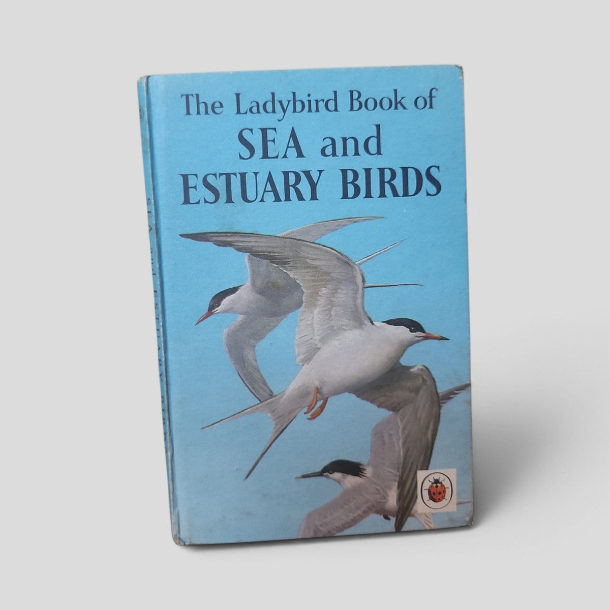 The Ladybird Book of Sea and Estuary Birds by John Leigh-Pemberton – front cover