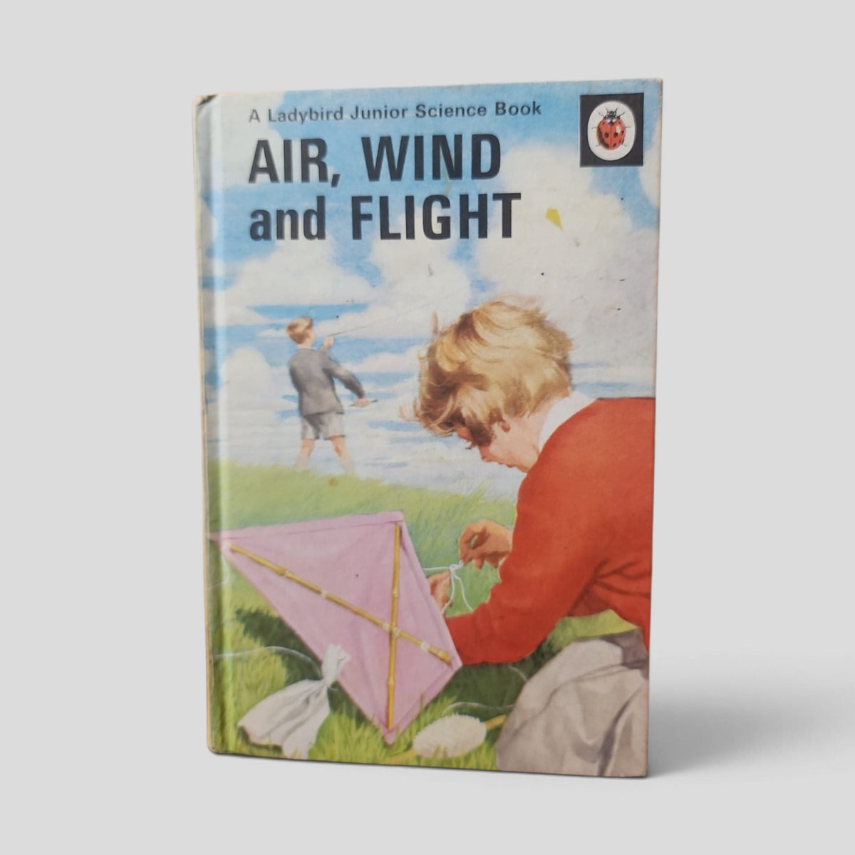 Air, Wind and Flight by F. E. Newing and Richard Bowood — front cover