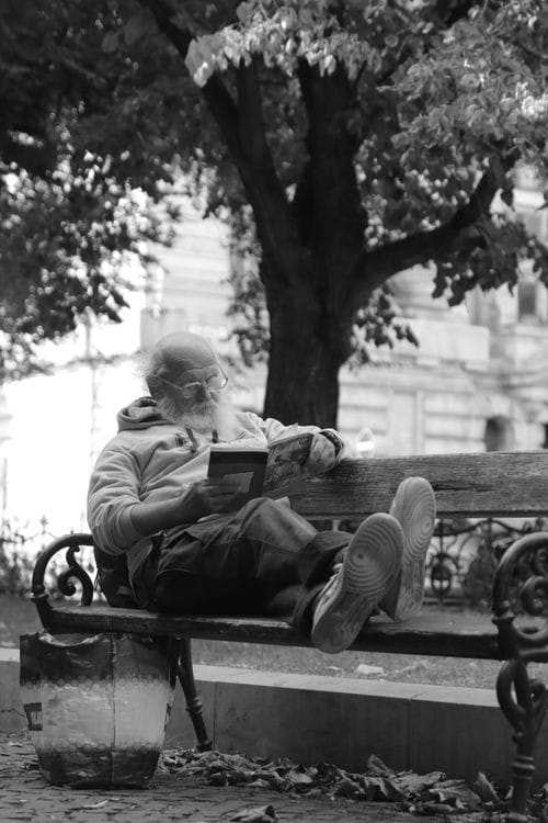 A reader resting on a park bench with an open book.