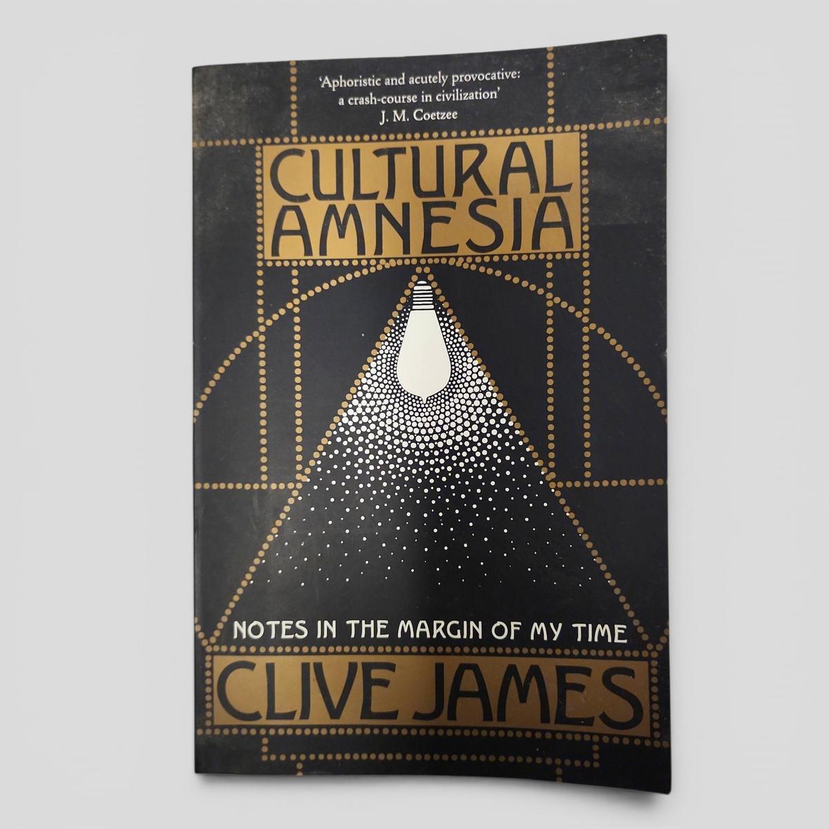 CULTURAL AMNESIA: NOTES IN THE MARGIN OF MY TIME by Clive James - book cover