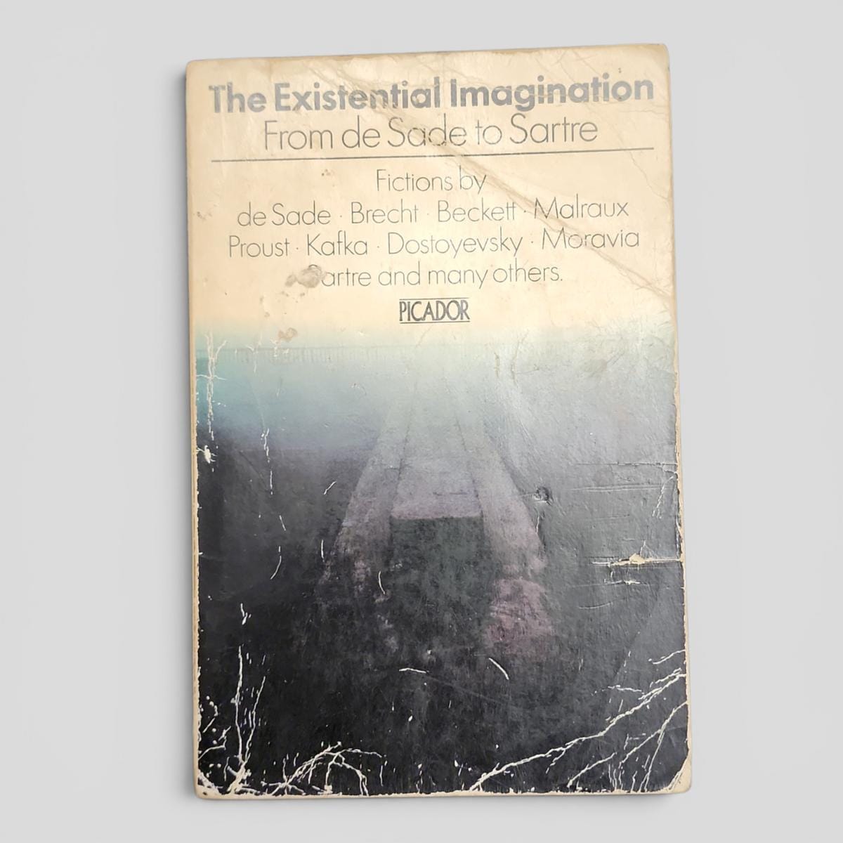 The Existential Imagination From de Sade to Sartre - book cover