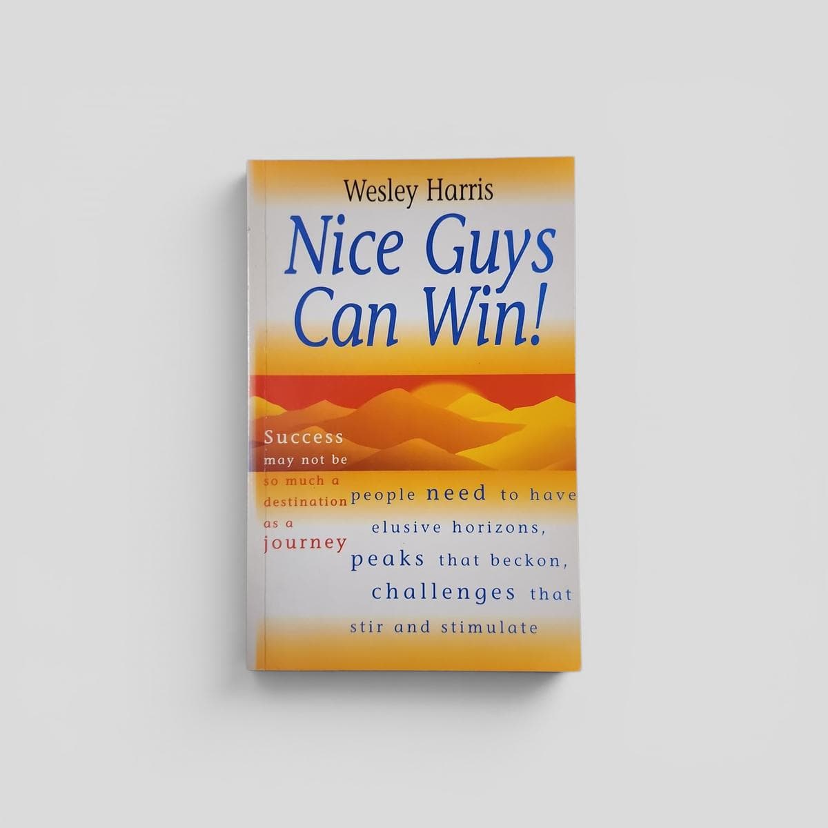 Nice Guys Can Win! by Wesley Harris - book cover