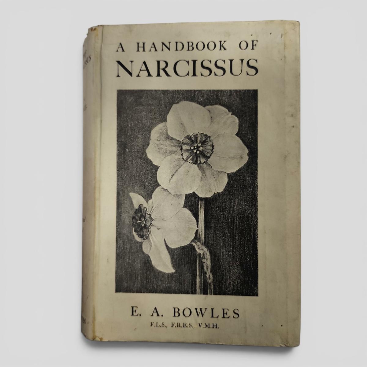 A HANDBOOK OF NARCISSUS by E. A. BOWLES - book cover
