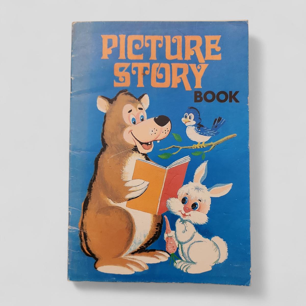 Picture Story Book - book cover