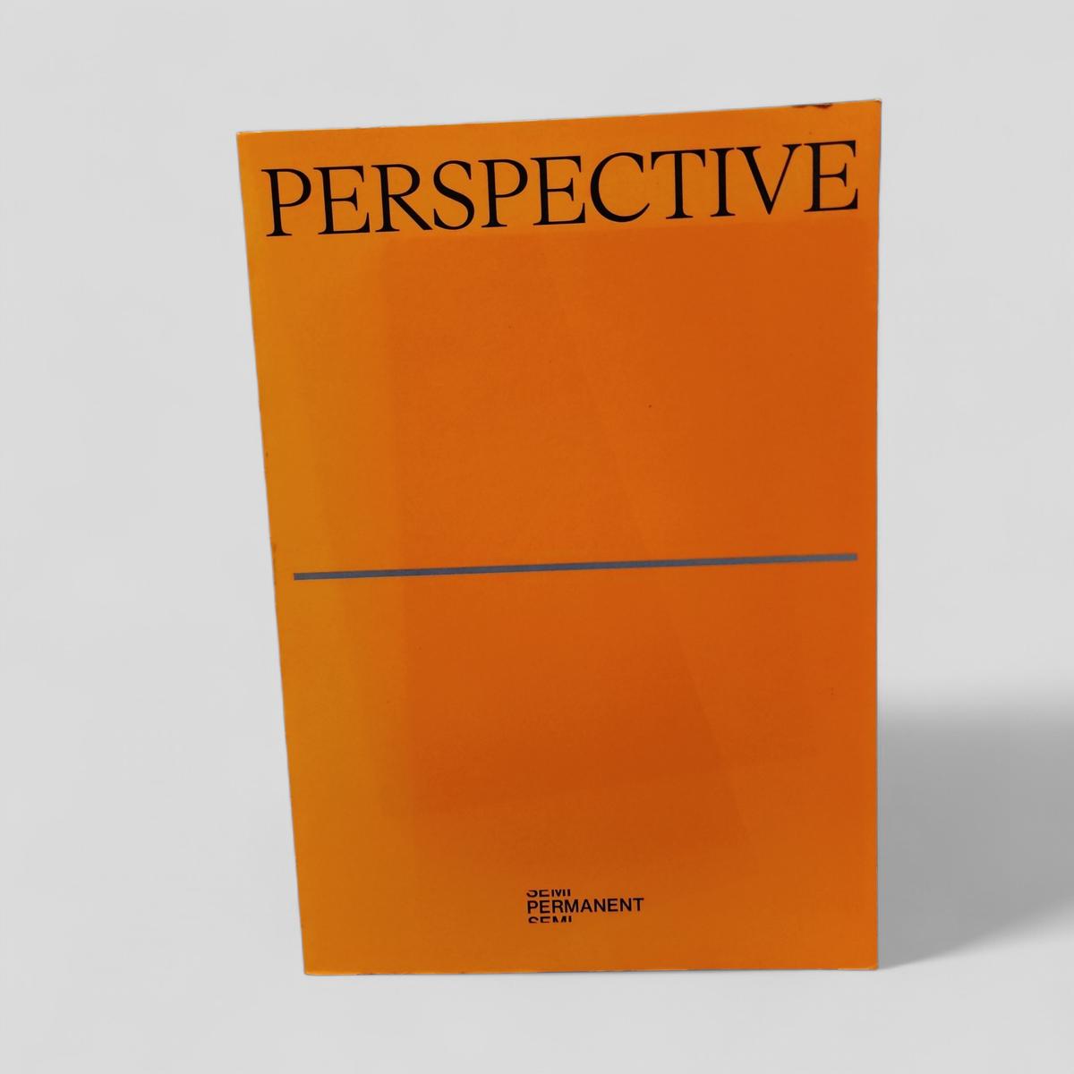 Perspective by Mitchell Oakley Smith - book cover