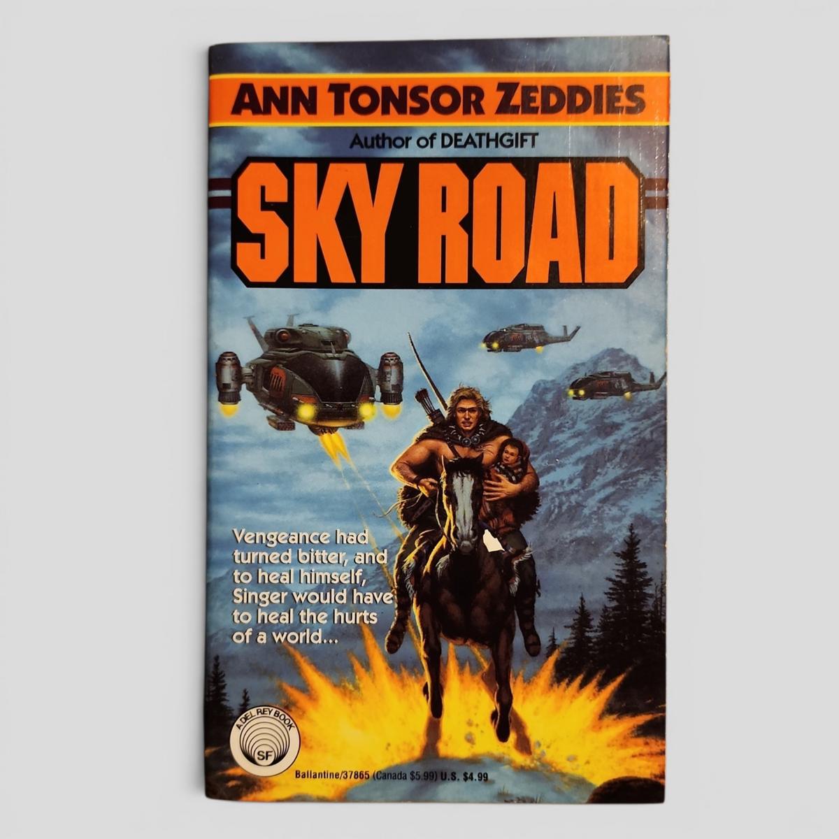 Sky Road by Ann Tonsor Zeddies - book cover