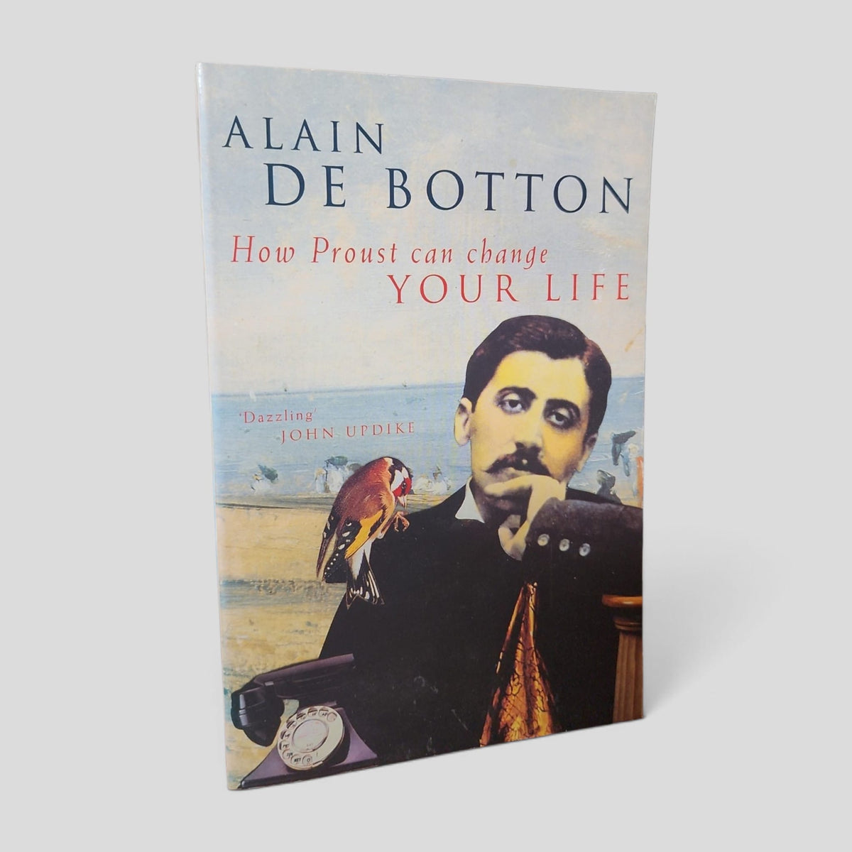 Front cover of How Proust Can Change Your Life by Alain de Botton — actual used copy.